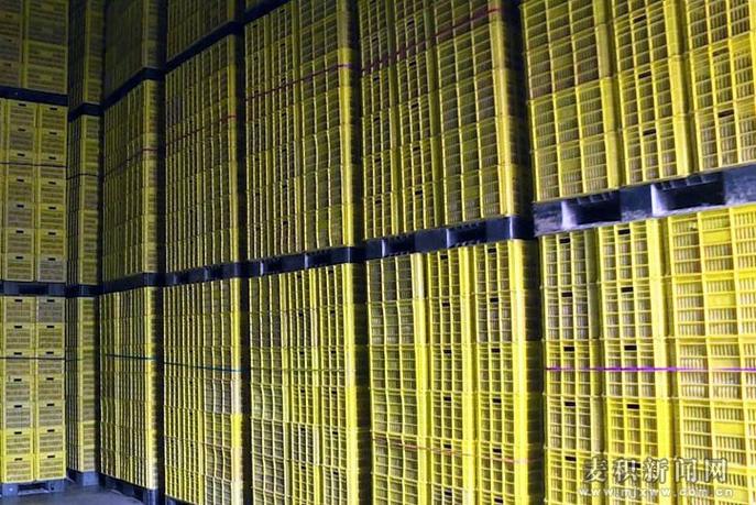 麦积区:大力发展仓储冷链设施 助力农产品提高附加值